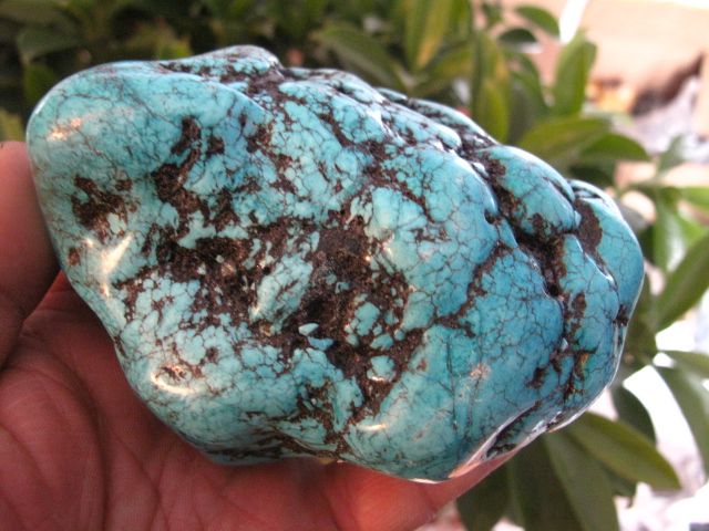 77lb VAIN GREEN polished Turquoise Rough NuggeT  