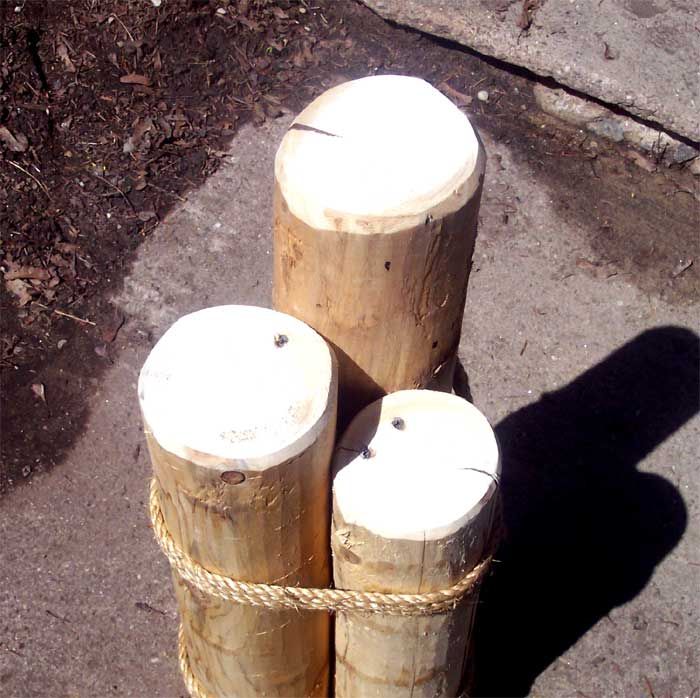 24Cedar Marine Pilings Nautical Coastal Decor  