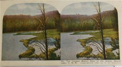 Vintage Lot of (9) Stereoview Cards, Places  