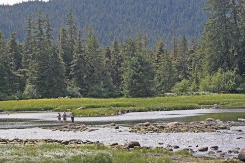 Majestic Eagle Lodge Alaska Fishing Trip  