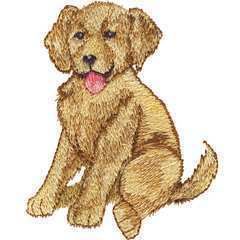 Baby Golden Retriever Dog Puppy Cute Gold Iron on Patch  
