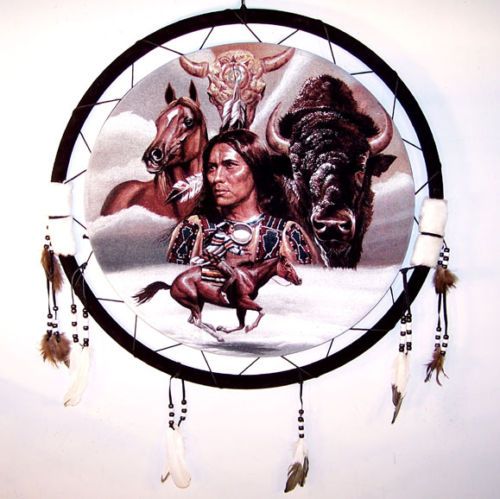 WAR SHIELD HORSE BUFFALO 24 dreamcatchers wall decor  