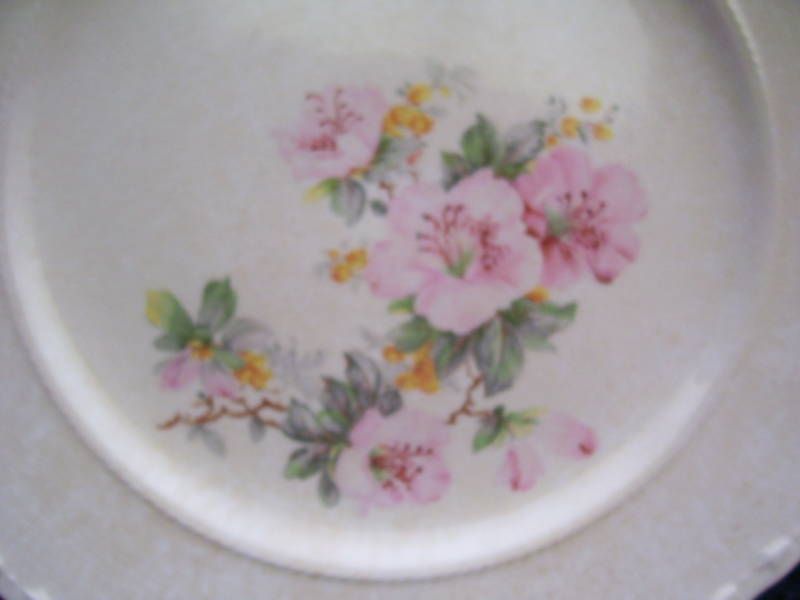 Crooksville China * APPLE BLOSSOM * Plate * Pink Flower  