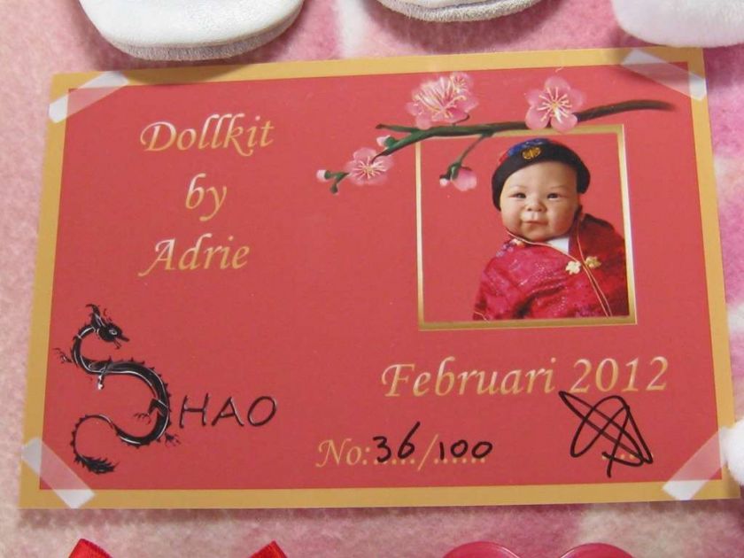 REBORN BABY GIRL ASIAN   KIT SHAO LIMITED EDITION 36/100 ADRIE STOETE 