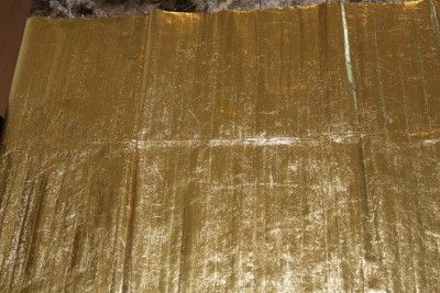 Genuine Eel Skin Hide Gold 2 ft x 5 ft panel  