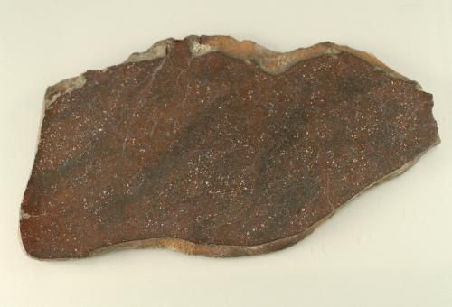 FULL SLICE STONE METEORITE CHONDRITE H4 MARKOVKA 248g  