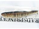 DEPS JAPAN TOPWATER RADSPRINGER ZF OIKAWA New  