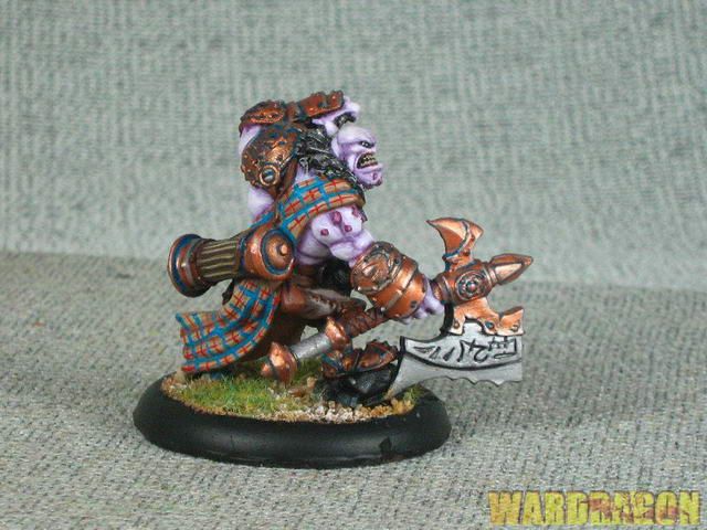 30mm Hordes WDS painted Madrak Ironhide s20  