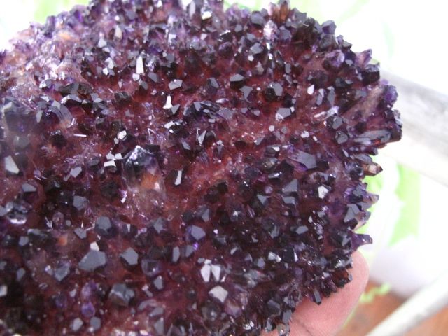 TOP 1.74lb RARE AMETHYST CITRINE AMETRINE QUARTZ CRYSTAL CLUSTER 