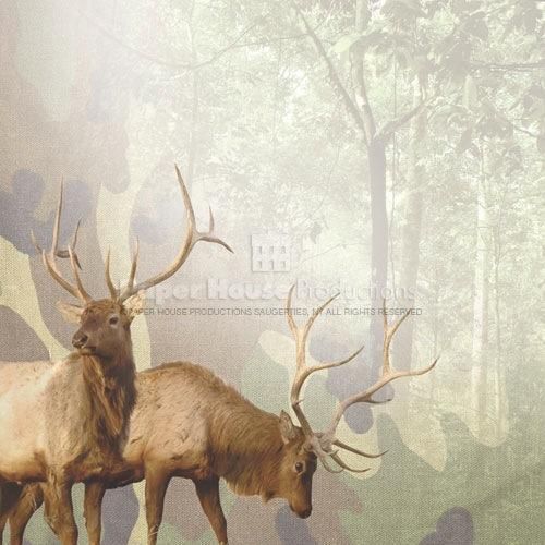 Majestic Elk Hunting 12x12 2 lot Paper House  
