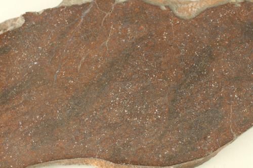 FULL SLICE STONE METEORITE CHONDRITE H4 MARKOVKA 248g  