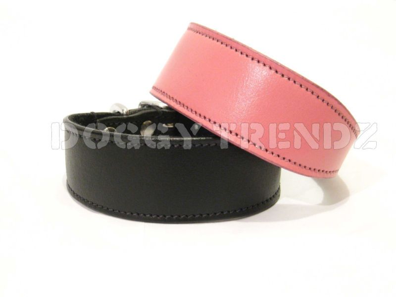 WHIPPET LURCHER REAL LEATHER DOG COLLAR SUEDE PADDED  