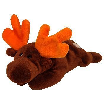 TY BBOC CHOCOLATE the MOOSE BEANIE BABY   ORIGINAL 9  