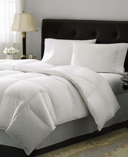 CHARTER CLUB   Level 6 Heavy F/Q Goose Down Comforter  