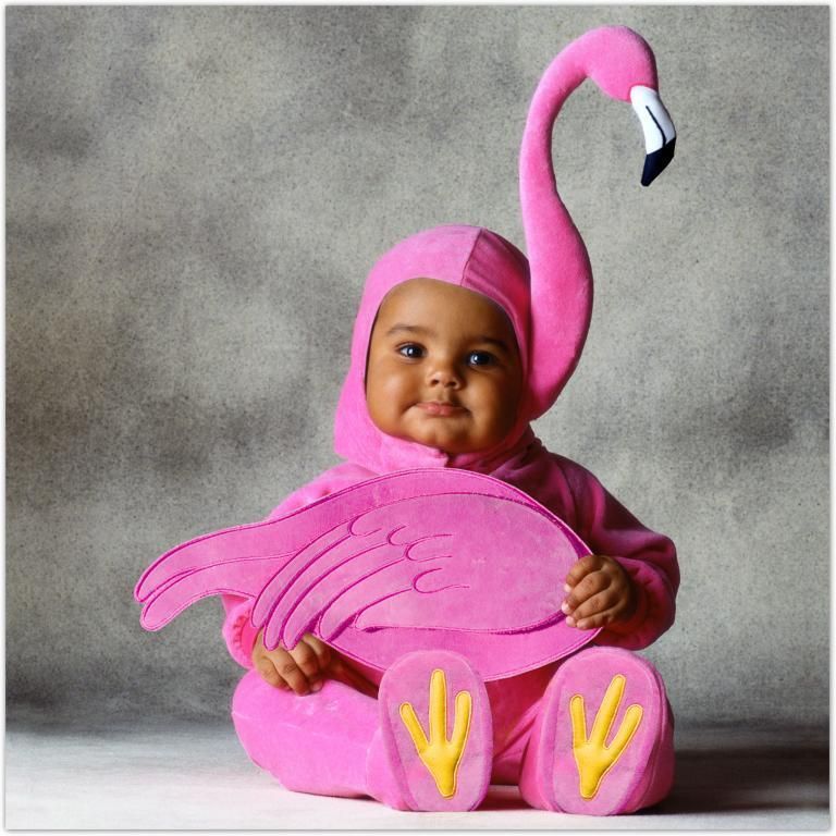 TOM ARMA FLAMINGO SIG LIMITED ED BABY COSTUME 4T 5T  